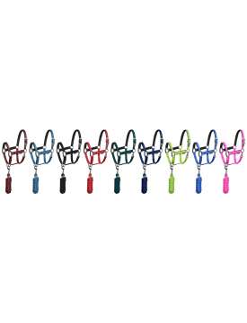 CAVEZZA EQUESTRO CON LUNGHINA FIBBIE INOX-10269
