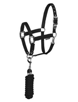 CAVEZZA EQUESTRO CON LUNGHINA FIBBIE INOX-10270