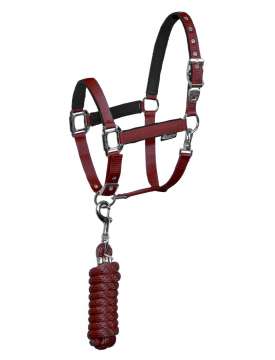 CAVEZZA EQUESTRO CON LUNGHINA FIBBIE INOX-10271