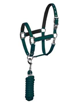 CAVEZZA EQUESTRO CON LUNGHINA FIBBIE INOX-10272