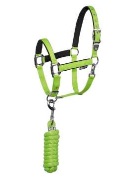 CAVEZZA EQUESTRO CON LUNGHINA FIBBIE INOX-10274