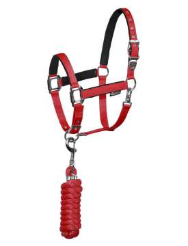CAVEZZA EQUESTRO CON LUNGHINA FIBBIE INOX-10276