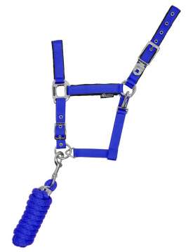 CAVEZZA EQUESTRO CON LUNGHINA FIBBIE INOX-10277