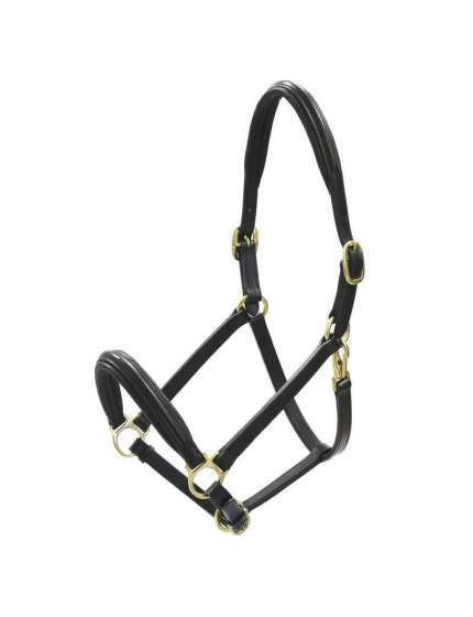 CAVEZZA PER CAVALLI IN CUOIO FIBBIE OTTONE