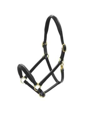 CAVEZZA PER CAVALLI IN CUOIO FIBBIE OTTONE-10281