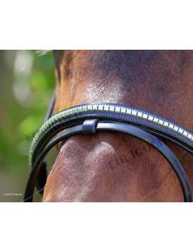 BRIGLIA INGLESE EQUESTRO CON CLINCHER ARGENTO-10842