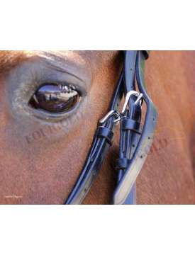 BRIGLIA INGLESE EQUESTRO CON CLINCHER ARGENTO-10843