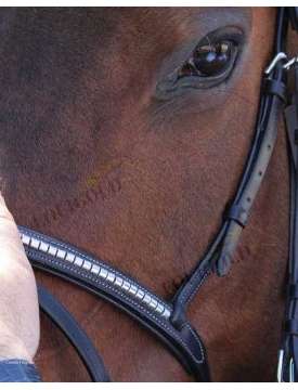 BRIGLIA INGLESE EQUESTRO CON CLINCHER ARGENTO-10844