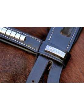BRIGLIA INGLESE EQUESTRO CON CLINCHER ARGENTO-10846