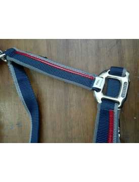 CAVEZZA E LUNGHINA EQUESTRO RED TRIM-10941