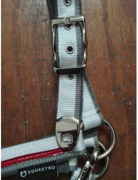 CAVEZZA E LUNGHINA EQUESTRO RED TRIM-10990
