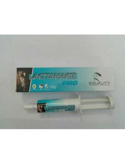 EQUISTRO LACTANASE PRO PER ACIDO LATTICO