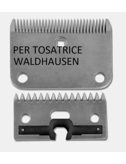 PETTINI PER TOSATRICE WALDHAUSEN CAVALLI