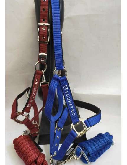 CAVEZZA E LUNGHINA EQUESTRO