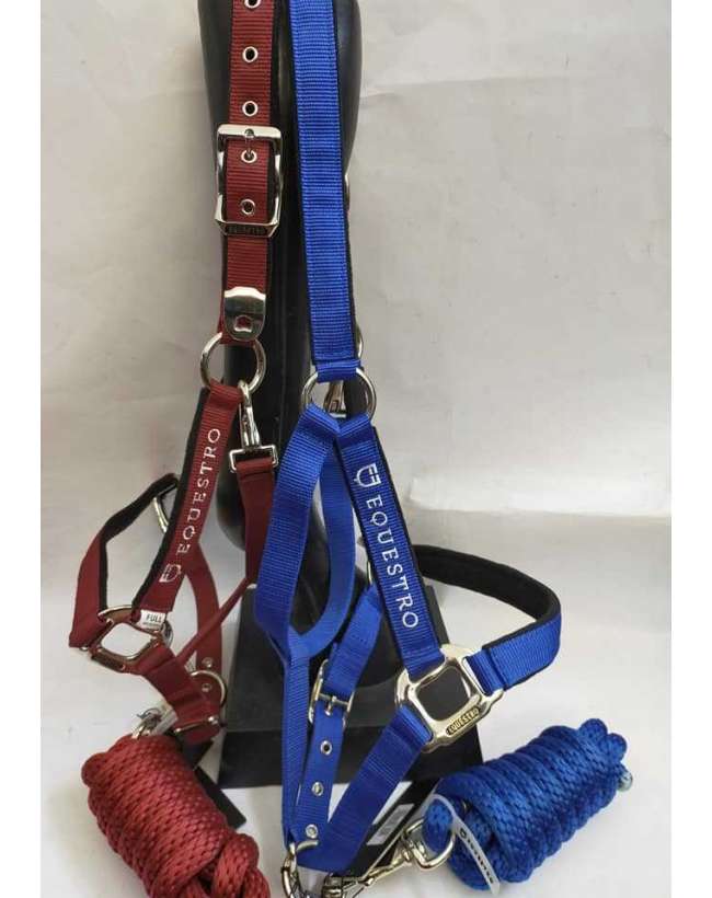 CAVEZZA E LUNGHINA EQUESTRO