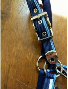 CAVEZZA E LUNGHINA EQUESTRO RED TRIM-12102