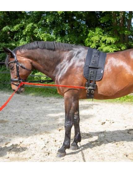 EQUI BENDER ATTREZZO PER LAVORO ALLA CORDA