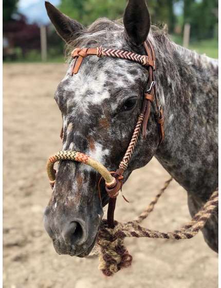 BOSAL MECATE COMPLETO DI REDINI IN CRINE