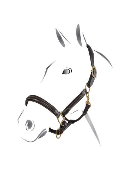 CAVEZZA EQUESTRO IN CUOIO FIBBIE OTTONE