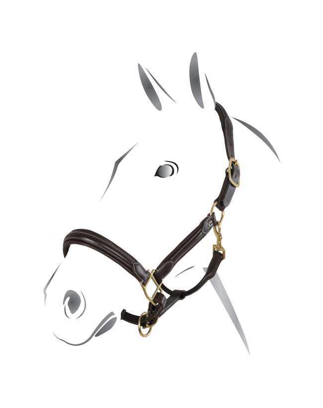 CAVEZZA IN CUOIO EQUESTRO