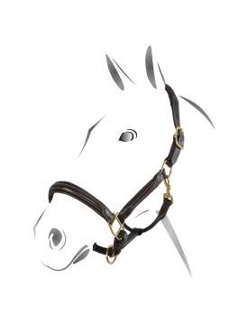 CAVEZZA EQUESTRO IN CUOIO FIBBIE OTTONE-13036