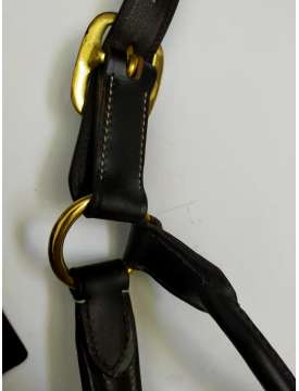 CAVEZZA EQUESTRO IN CUOIO FIBBIE OTTONE-13039