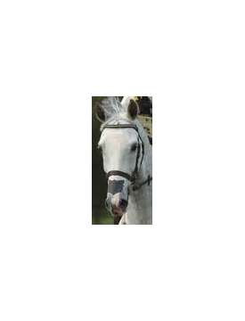 CEROTTO NASALE PER CAVALLI FLAIR STRIP-1339