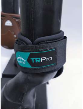 PARANOCCHE POSTERIORI VEREDUS TR-PRO-13547