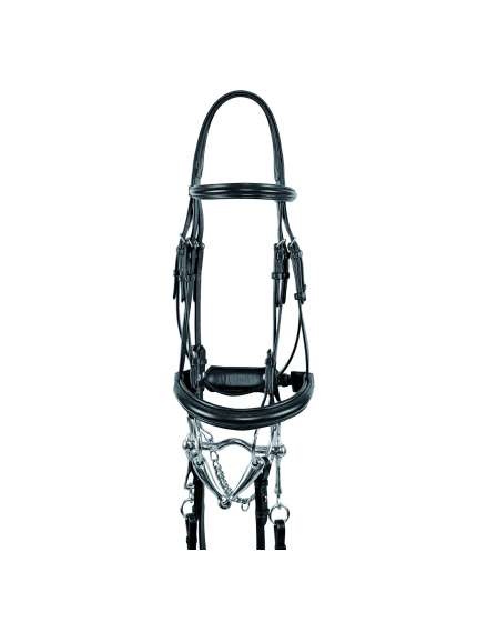 BRIGLIA DA DRESSAGE CON DOPPIE REDINI