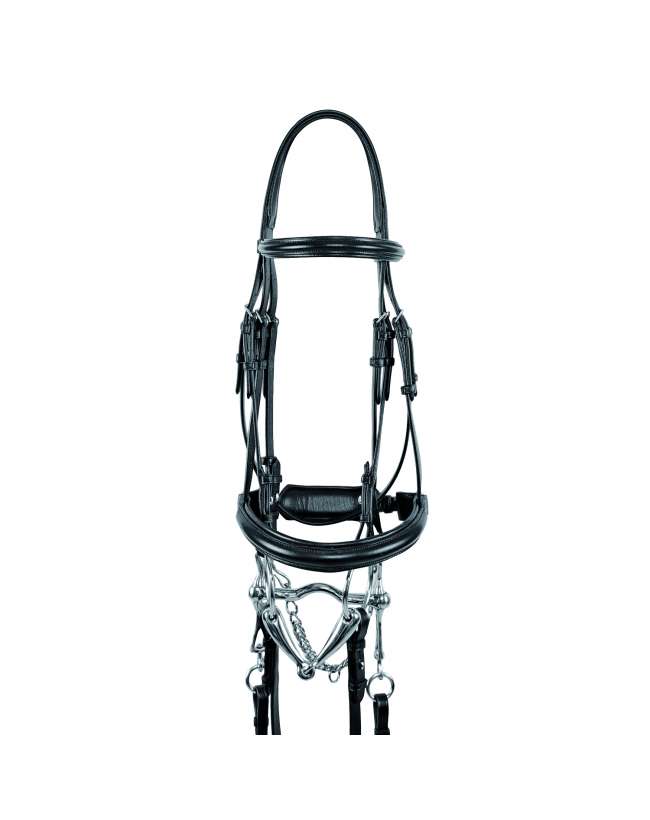 BRIGLIA DA DRESSAGE CON DOPPIE REDINI