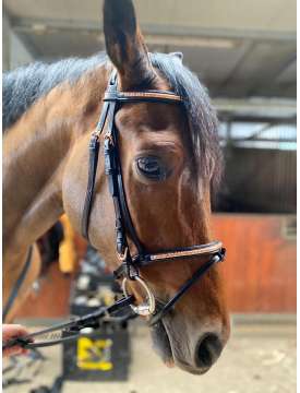 BRIGLIA EQUESTRO CON RIPORTI ROSE/GOLD RAMATI-14109