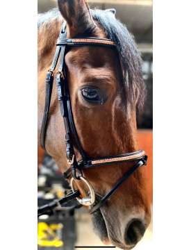 BRIGLIA EQUESTRO CON RIPORTI ROSE/GOLD RAMATI-14110