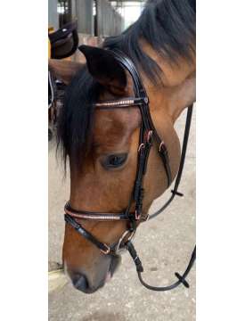 BRIGLIA EQUESTRO CON RIPORTI ROSE/GOLD RAMATI-14111