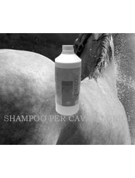 SHAMPOO PER LAVARE CAVALLI GRIGI-1415