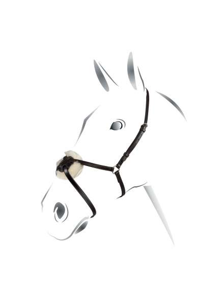 CAPEZZINA CHIUDIBOCCA EQUESTRO MESSICANA
