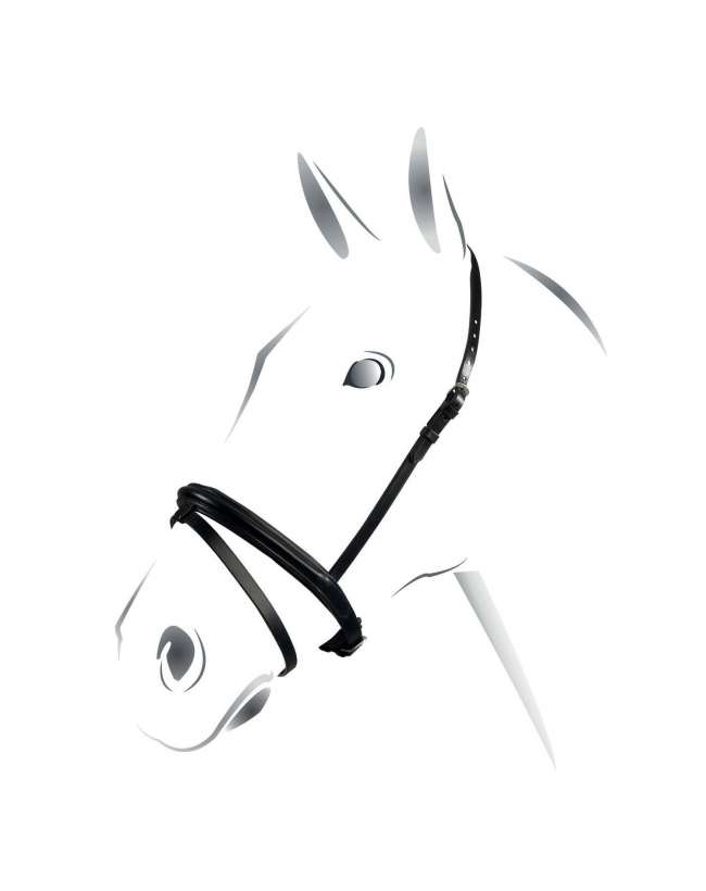CAPEZZINO EQUESTRO BR00612