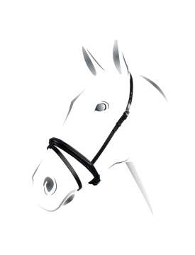 CAPEZZINO CHIUDI BOCCA EQUESTRO-14321