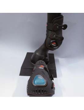 PROTEZIONI EQUICK EVO ELASTIC POSTERIORI-14504