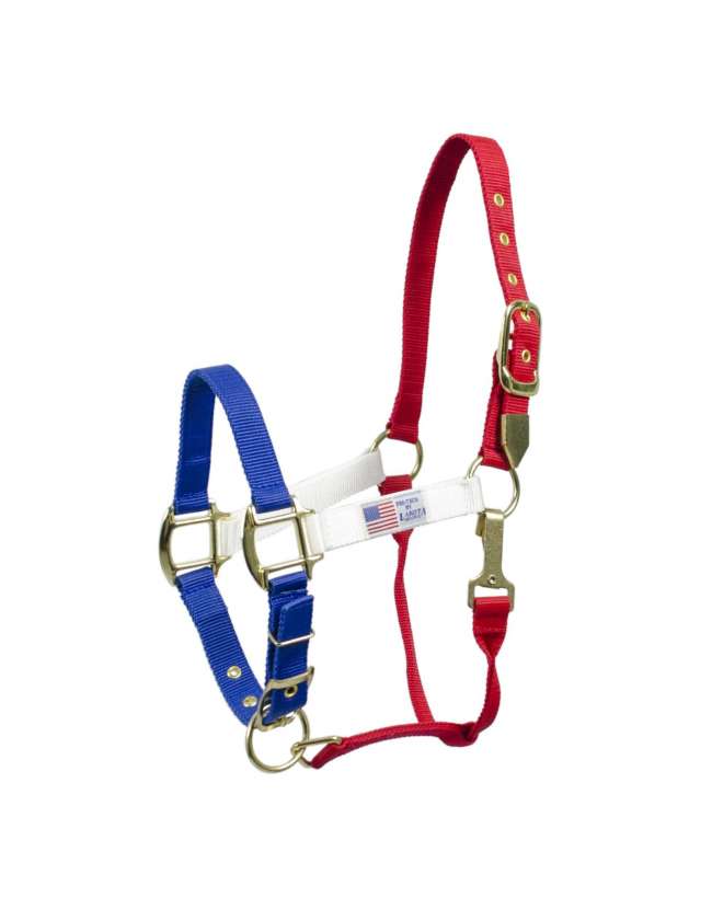 CAVEZZA PER CAVALLO COLORI USA