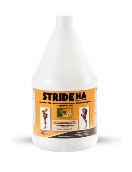 STRIDE HA LIQUIDO TRM CAVALLI