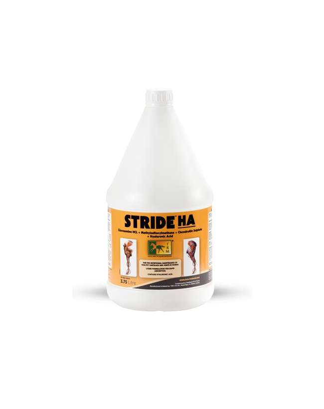 STRIDE HA LIQUIDO TRM CAVALLI