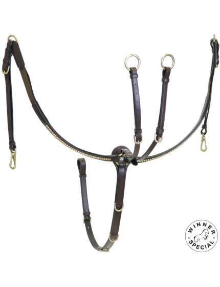 PETTORALE INGLESE CON OTTONI PER CAVALLO