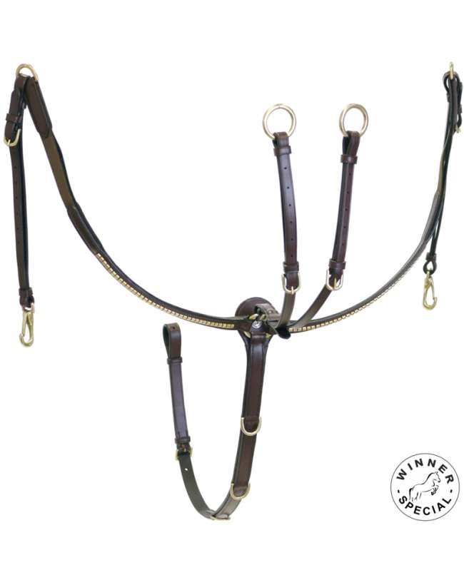 PETTORALE INGLESE CON OTTONI PER CAVALLO