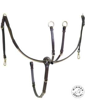 PETTORALE INGLESE IN CUOIO CON CLINCHER OTTONE-15027