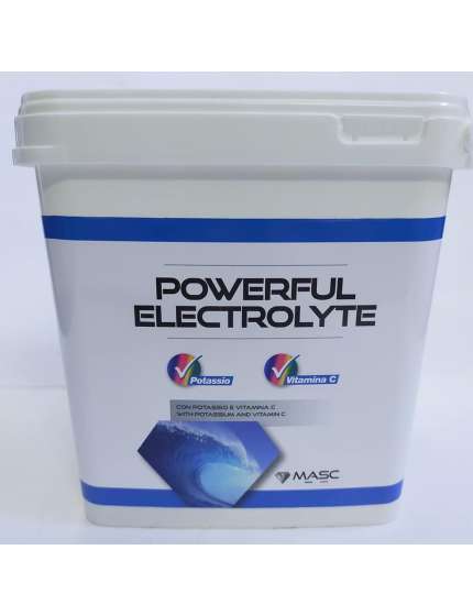 POWERFUL ELECTROLYTE IN POLVERE PER CAVALLI