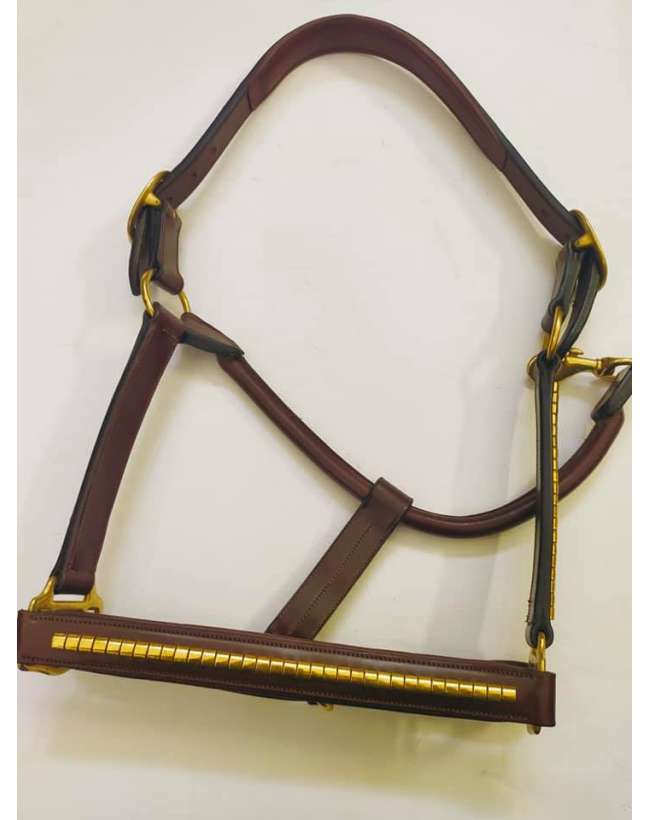CAVEZZA IN CUOIO INGLESE GOLD CON CLINCHER OTTONE