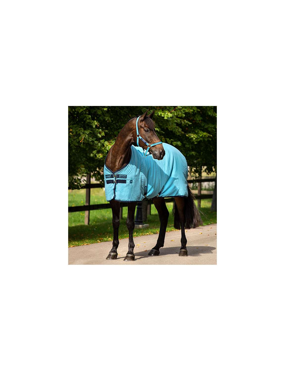 COPERTA COTONE AMIGO HORSEWARE