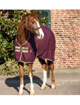 COPERTA HORSEWARE AMIGO IN COTONE-16468