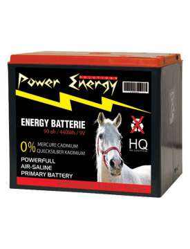 BATTERIA DA 9V DA 10000 ORE-1732