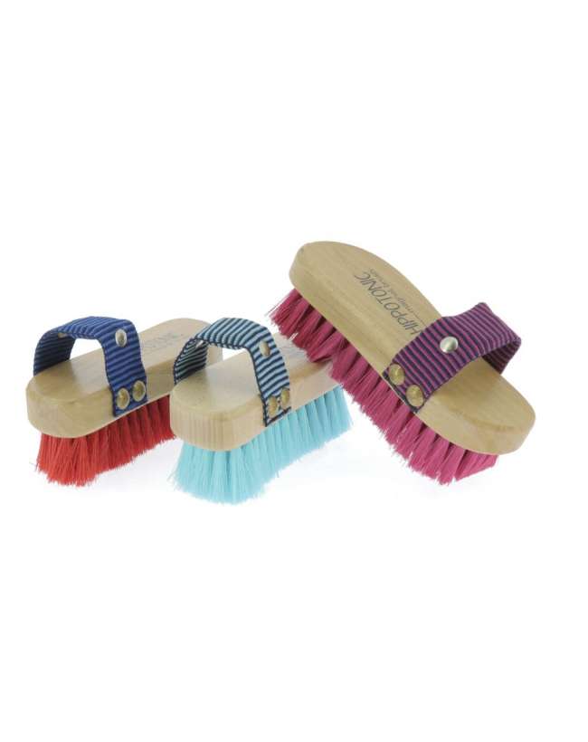 SPAZZOLA HIPPOTONIC CON MAGNETE